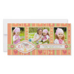 'Lil Chick Photo Card 2