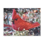 Lil Christmas Redbird Postcard- customize