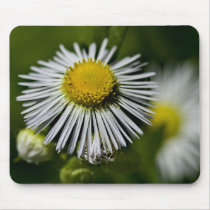 Li'l Daisy Mousepad by sruhs Li'l Daisy Mousepad