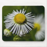 Li'l Daisy Mousepad