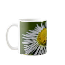 Li'l Daisy Mug