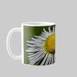 Li'l Daisy Mug