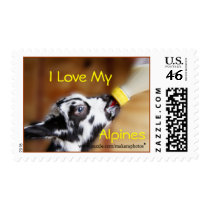 Lil Kid Stamp 4801 PL- customize any occasion