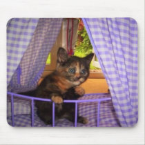 Li'l Kitty mousepads