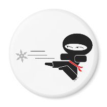 Lil' Ninja magnets