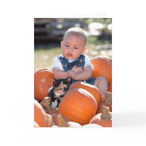 Lil Pumpkin with Kitten cards by providencephoto Lil Pumpkin with Kitten cards