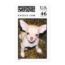 Lil Sassy Lou Who postage by SASSYLOUWHO Lil Sassy Lou Who postage
