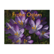 Lila Krokusse • Oster-Postkarte postkarten