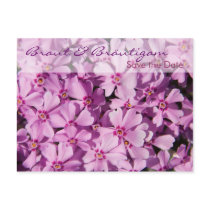 Lila Phlox • Save the Date Postkarte postcards