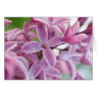 Lilac Bloom In Early Spring card