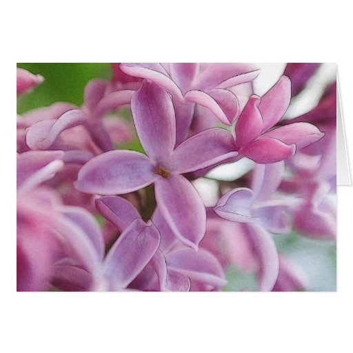 Lilac Bloom In Early Spring Greeting Cards