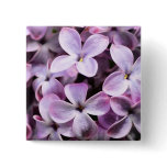 Lilac blossoms pinback buttons