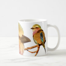 Lilac-breasted Roller (African bird) Mug