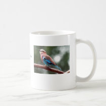 Lilac-Breasted Roller mugs
