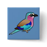 Lilac-breasted Roller Square Button