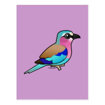 Lilac-breasted Roller Post Card