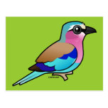 Lilac-breasted Roller Postcard