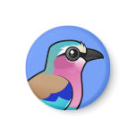 Lilac-breasted Roller Round Magnet