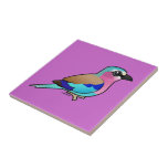 Lilac-breasted Roller Tile