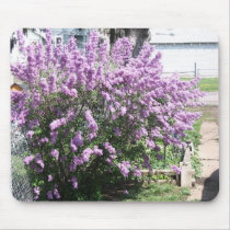 lilac bush mousepads