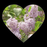 Lilac Bush Sticker