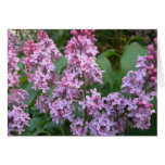 Lilac Card
