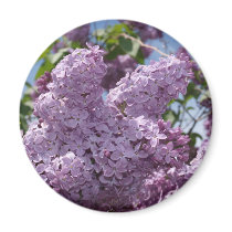 Lilac cluster magnets