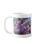 Lilac cluster