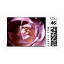 Lilac-Colored Rose Stamp