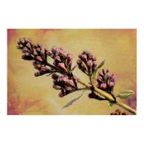 Lilac fine art print