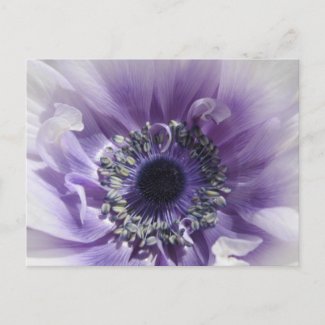 Lilac Floral Postcard
