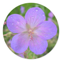 lilac flower stamp stickers by bkang22 lilac flower stamp stickers