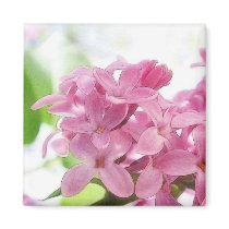 Lilac Flowers In The Morning Sunlight Magnet