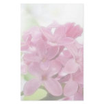 Lilac Flowers In The Morning Sunlight Stationery Paper
