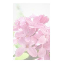 Lilac Flowers In The Morning Sunlight Stationery Paper
