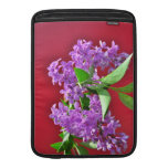 Apple Laptop For Gaming | lilac,flower,red,mauve,green,flora,nature,plant,on lilac,flower,red,mauve,green,flora,nature,plant,on