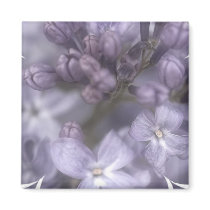 Lilac Flowers Magnet