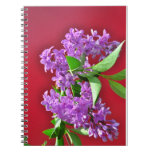 lilac,flowers,flora,nature,plant,mauve,red,online