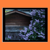 Lilac Flowers & Old Wood Mini Print postcards
