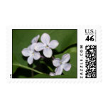 Lilac Flowers Postage