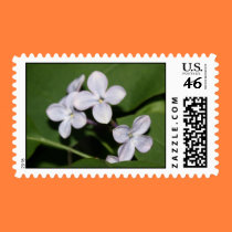 Lilac Flowers Postage stamps