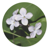 Lilac Flowers Sticker by Liley_Photo_N_Design Lilac Flowers Sticker