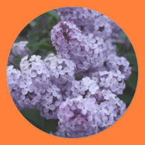 Lilac Flowers Sticker stickers