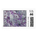 lilac forest postage