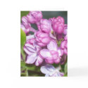 Lilac greeting card