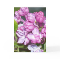 Lilac greeting card by jesus1ste Lilac greeting card