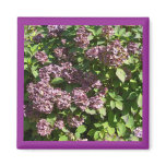 Lilac Hydrangeas Magnet