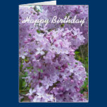 Lilac in Bloom cards