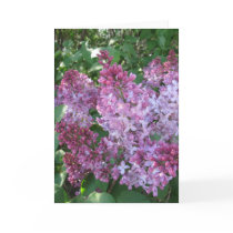Lilac Note Card