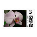 Lilac Orchid Stamp